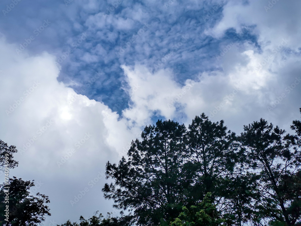 Obraz premium Landscape of Khaoyai national forest park in Nakorn ratchasima,Thailand