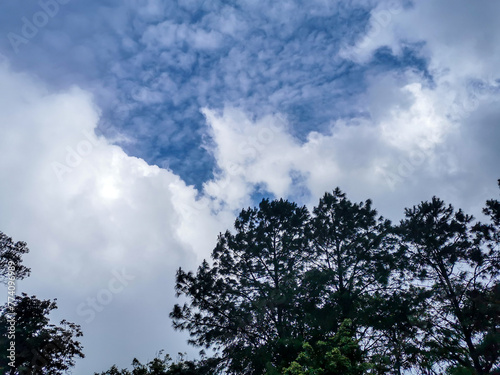 Landscape of Khaoyai national forest park in Nakorn ratchasima,Thailand