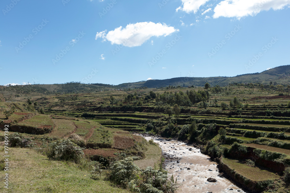 Madagascar landscape on a sunny spring day