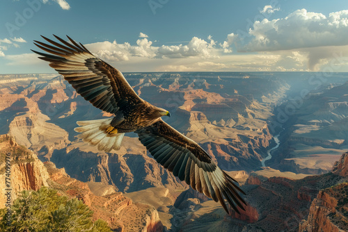 Majestic Eagle Soaring Over the Grand Canyon