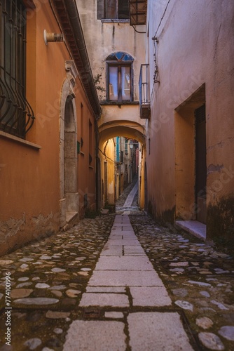 Vertical shot of a narrow path in an old town
