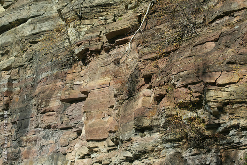 Closeup shot of the big rocky cliff with bushes and vines grown on it on a sunny autumn day