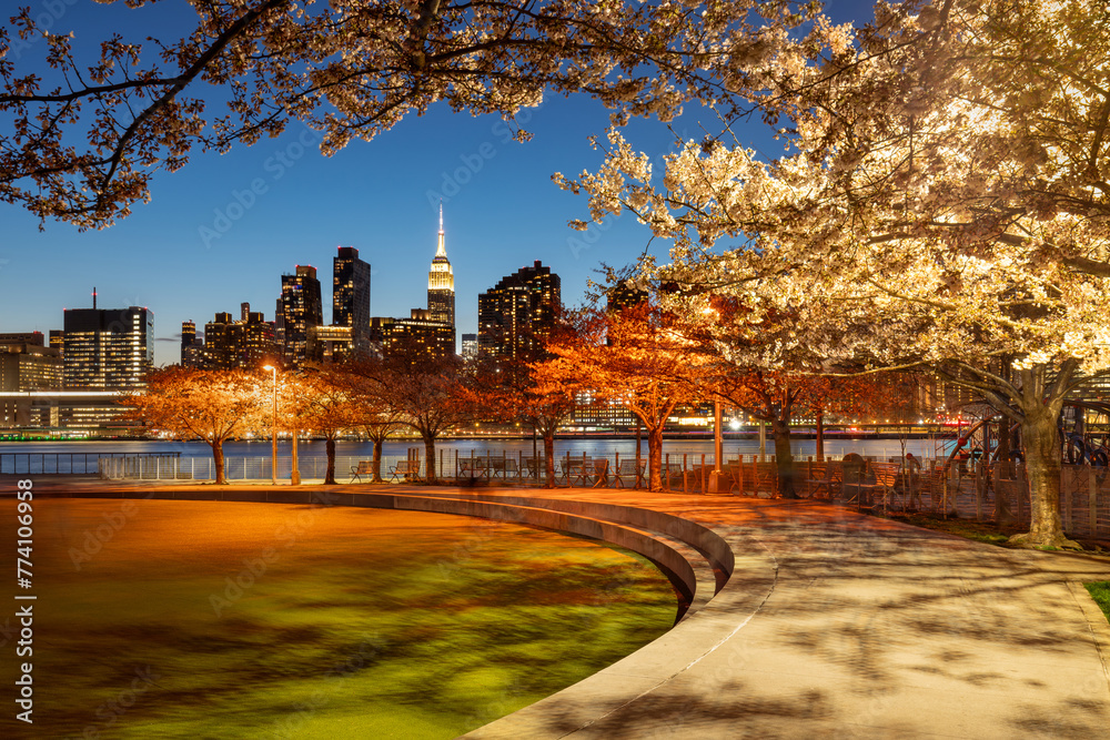 Evening spring in Long Island City Hunter's Point South Park. East River, cherry trees and Manhattan skyscrapers from Queens, New York City - obrazy, fototapety, plakaty 