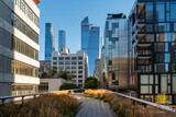 The Manhattan High Line promenade in Chelsea. New York City elevated greenway with Hudson yards skyscrapers in morning light