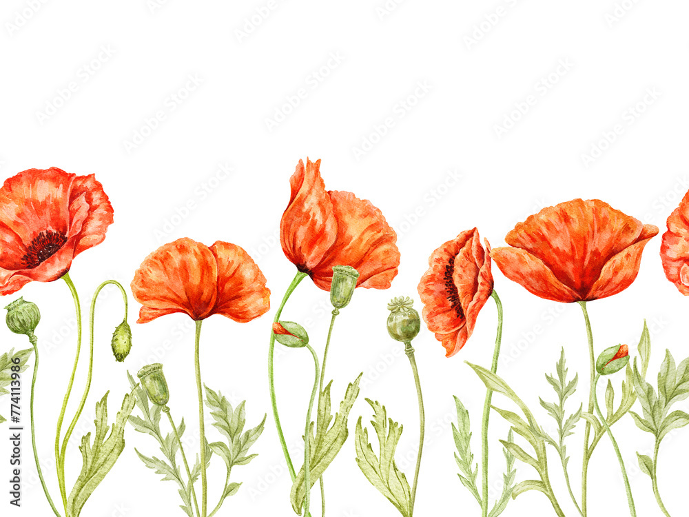 Obraz premium Poppy flowers seamless border illustration