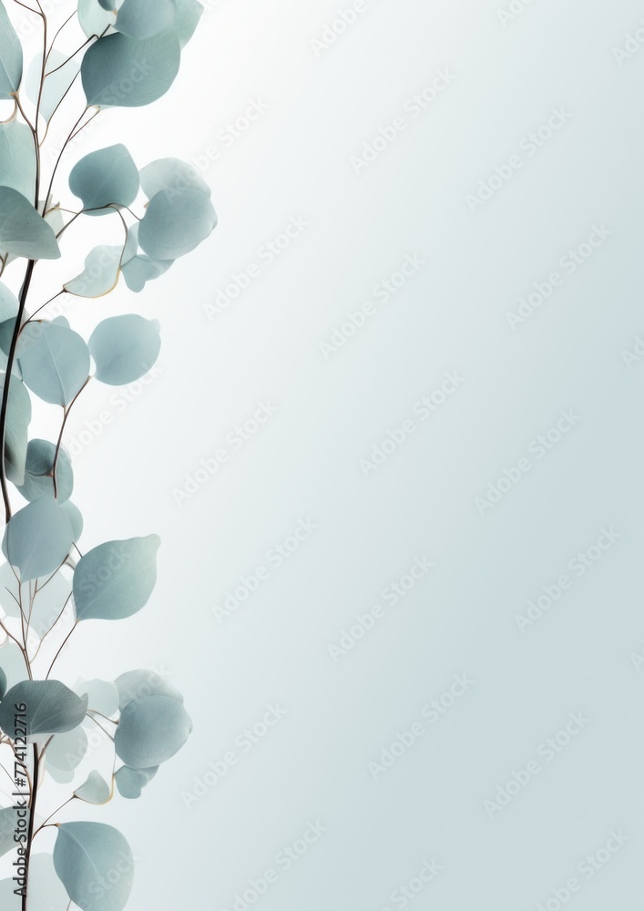 Naklejka premium Eucalyptus branches on light minimalistic background, wallpaper. Generative Ai.