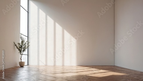empty white room wall with shadow and light from windows  white interior background with greenery for product presentation  minimalist style  modern interior concept