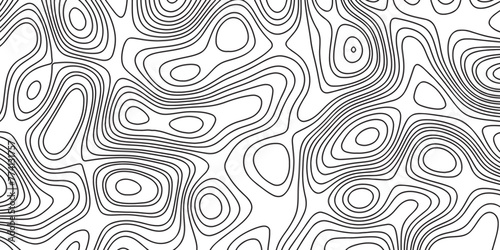 Modern Abstract topographic contours 3d map background. White background with topographic wavy pattern design. Black on white contours vector topography stylized height of the lines.