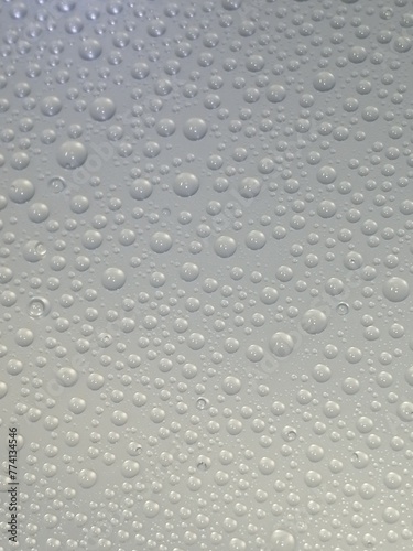 Wallpaper Mural 水玉 Torontodigital.ca