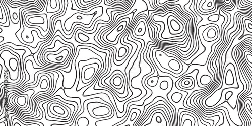 Modern Abstract topographic contours 3d map background. White background with topographic wavy pattern design. Black on white contours vector topography stylized height of the lines.