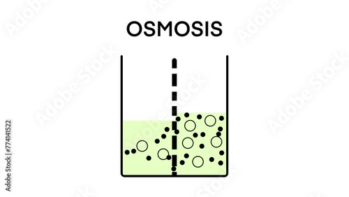 osmosis, Solvent passing through the semipermeable membrane from the less concentrated part to the more concentrated part, osmosis flow direction physics science education, solvent solute solution    