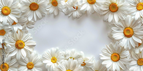 photo frame of delicate daisies on a white background, advertising banner concept, holiday summer card © alsu0112