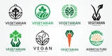 vegan logo icon Leaf symbol plant based diet product label Vector illustration.