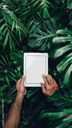 A tablet with a clean display held amidst a thriving array of exotic green plants, juxtaposing technology with the simplicity of nature.