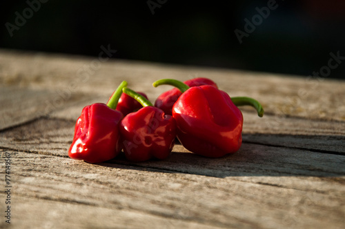 Habanero chili peppers on a wooden table. Ripe red chili peppers on rustic wooden table in bright sun light. Hot spicy red paprika.