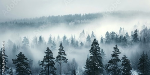 Norwegian woods in winter with misty pine trees, Generative AI 