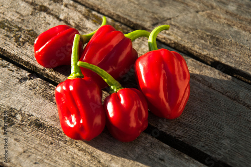 Habanero chili peppers on a wooden table. Ripe red chili peppers on rustic wooden table in bright sun light. Hot spicy red paprika.