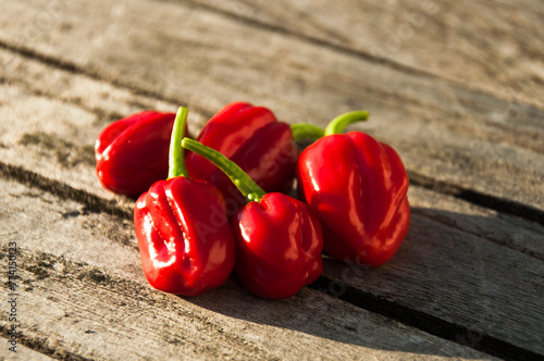 Habanero chili peppers on a wooden table. Ripe red chili peppers on rustic wooden table in bright sun light. Hot spicy red paprika.