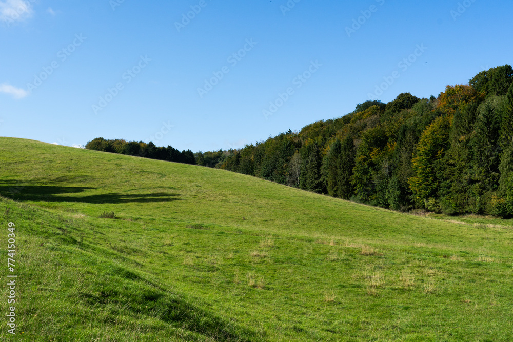 Obraz premium Sunny Rolling Hills and trees 