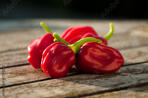 Habanero chili peppers on a wooden table. Ripe red chili peppers on rustic wooden table in bright sun light. Hot spicy red paprika.