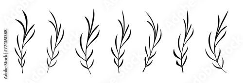 Fototapeta Naklejka Na Ścianę i Meble -  Floral twig vector set. Branch with leaves silhouette. Botanical decoration.