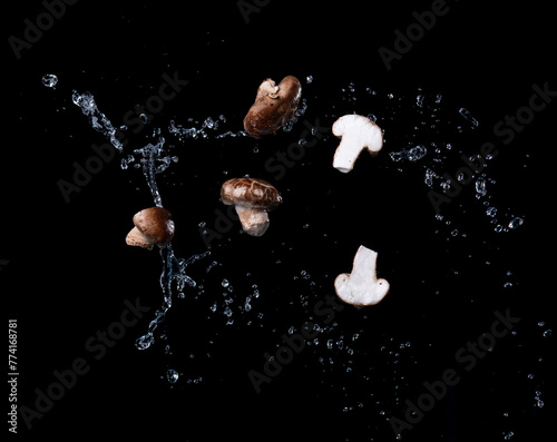 Champignon mushroom with water splash against a black background, flying food