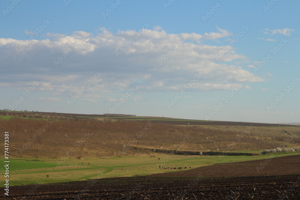 A landscape with a field and blue sky