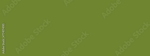Solid Green Background Banner with copy space - spring color, modern decoration