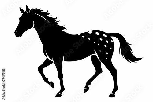  Appaloosa horse silhouette black vector illustration