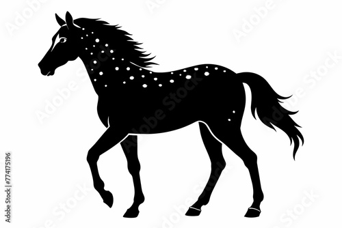  Appaloosa horse silhouette black vector illustration