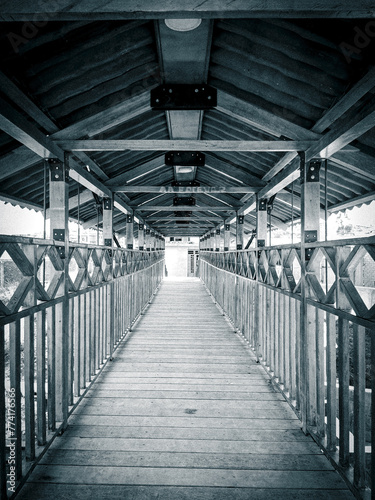 Puente de madera photo