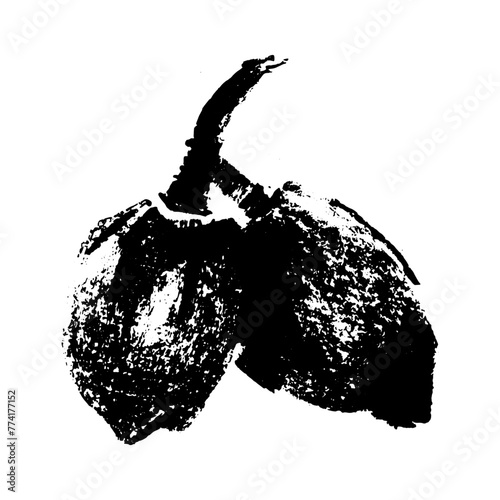 Vector hand-drawn illustration almonds. Black charcoal drawing of almond nut for marzipan paste label design or almond butter packaging. Botanical sketch for ketogenic diet banner.