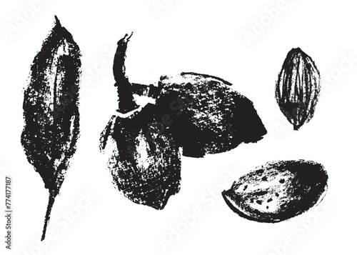Vector hand-drawn illustration almonds. Black charcoal drawing of almond nut for marzipan paste label design or almond butter packaging. Botanical sketch for ketogenic diet banner.