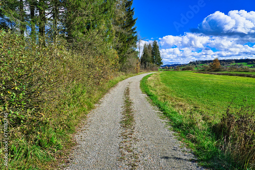 a quiet path along a forest on a day with blue skies, sun and clouds