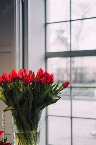 Vibrant Red Variegated Tulips on Display
