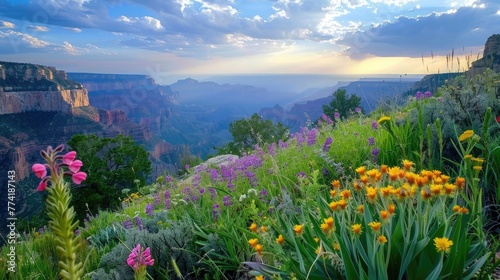 Beautiful mountain scenery in Arizona. Flowers blooming on North Rim, Grand Canyon National Park,