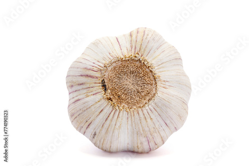 garlic bulb on white background