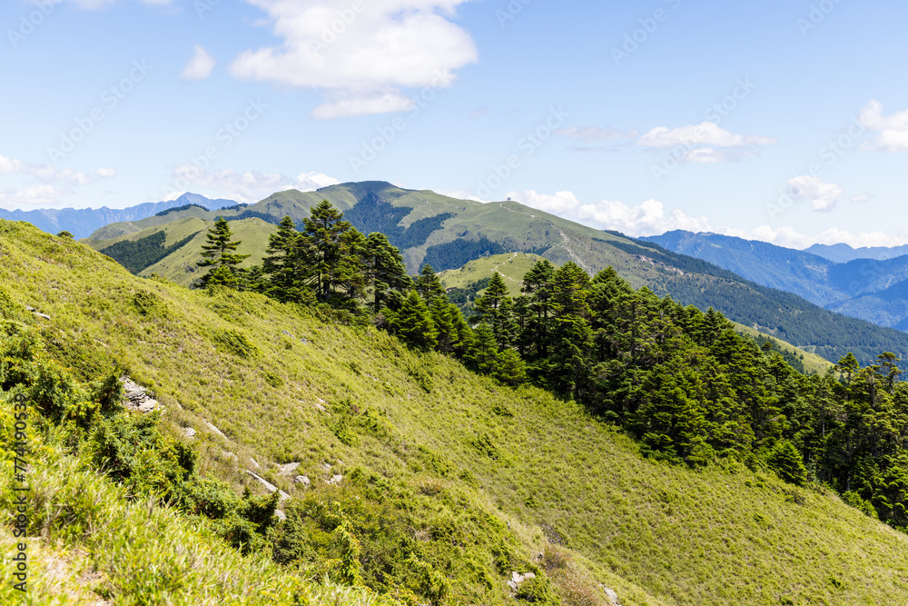 Fototapeta premium Scenery of the green mountain Hehuanshan
