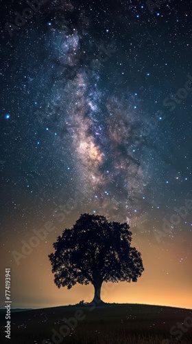 A lone tree stands against a starry night