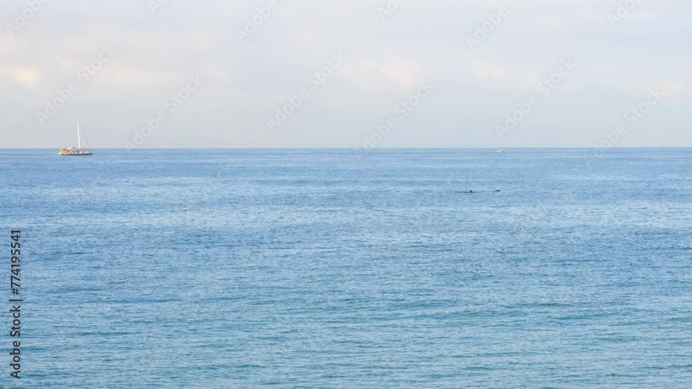 Establishing shot of ocean beach with waves in slow motion at summer day in Puerto Vallarta. Mexico. Slow motion. Day time on March 2024. Still camera. ProRes 422 HQ.