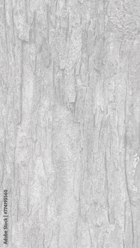 Pattern of dried light grey bark wood.Cracked wood texture big tree surface.Template for design.Abstract background.Pattern.Space for work.Banner.Wallpaper.Selective focus.Vertical. Pattern of dried light grey bark wood.Cracked wood texture big tree surface.Template for design.Abstract background.Pattern.Space for work.Banner.Wallpaper.Selective focus.Vertical.