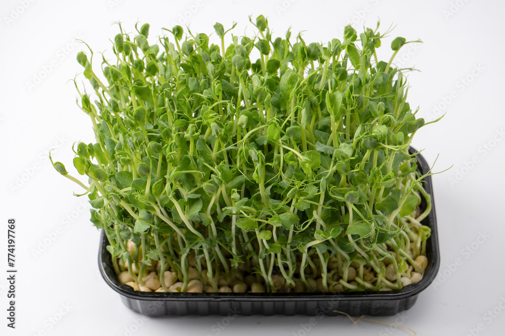 Pea sprouts isolated on a white background. Pea sprouts isolated on a white background.
