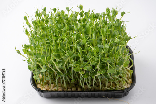 Pea sprouts isolated on a white background.
