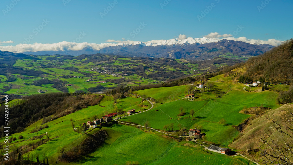 Fioritura primaverile delle colline del basso Appennino Reggiano. Reggio Emilia, Emilia Romagna, Italia