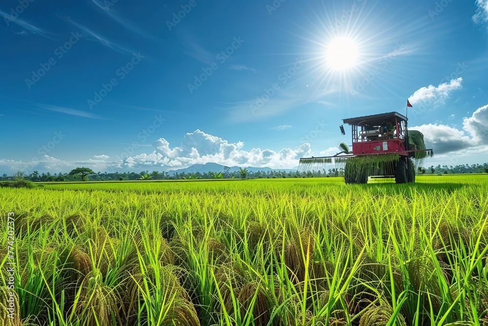 Paddy machine at paddy field, background bright sunny day. Paddy machine at paddy field, background bright sunny day.
