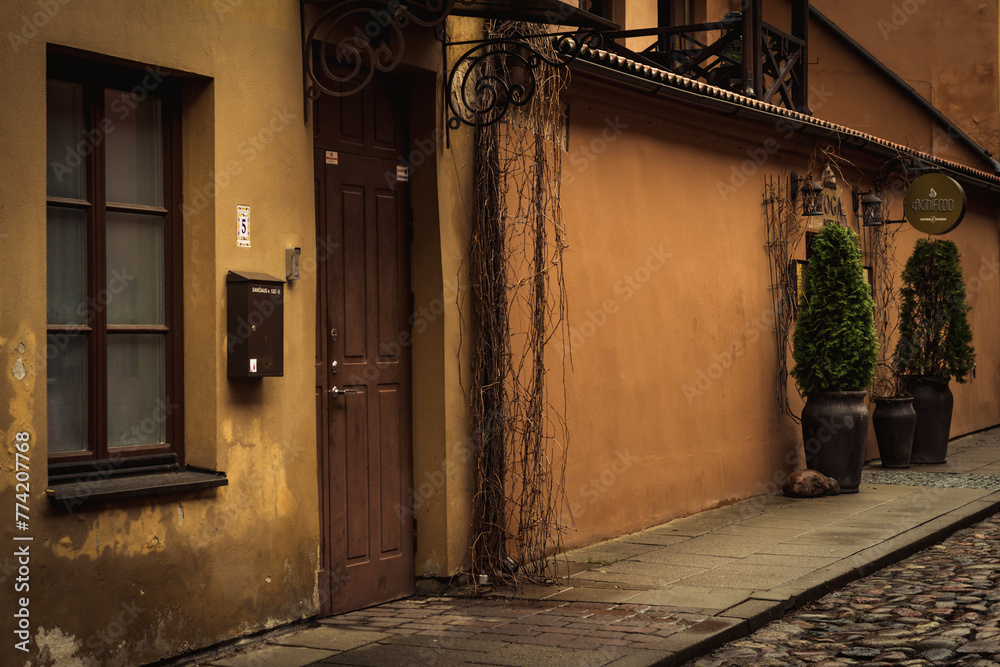 Fototapeta premium historical architecture of Vilnius..