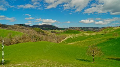 Fioritura primaverile delle colline del basso Appennino Reggiano. Reggio Emilia  Emilia Romagna  Italia