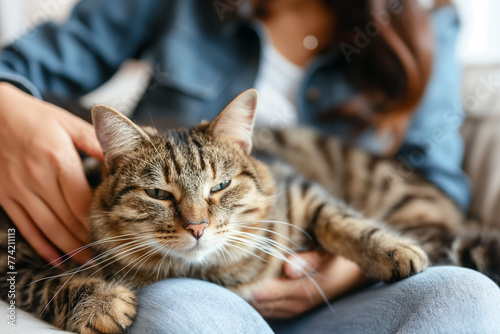 A tabby cat in the arms of his owner.
