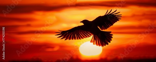 Silhouette of a bird in flight at sunset