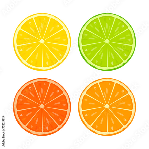 Set of citrus lemon, lime, orange, grapefruit - slices. Vector illustration isolated on white background.